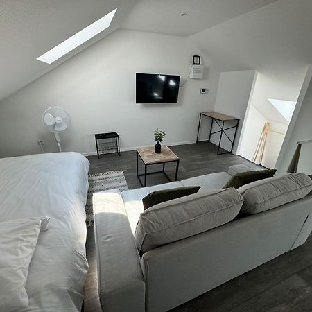 Studio Eucalyptus Charmant Elegant Et Fonctionnel Centre Ville Mulhouse Exteriör bild