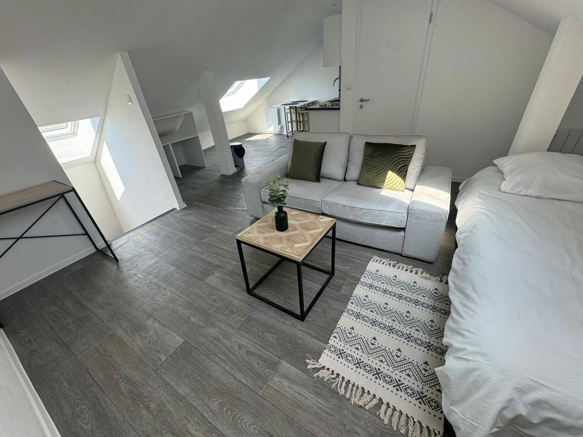 Studio Eucalyptus Charmant Elegant Et Fonctionnel Centre Ville Mulhouse Exteriör bild